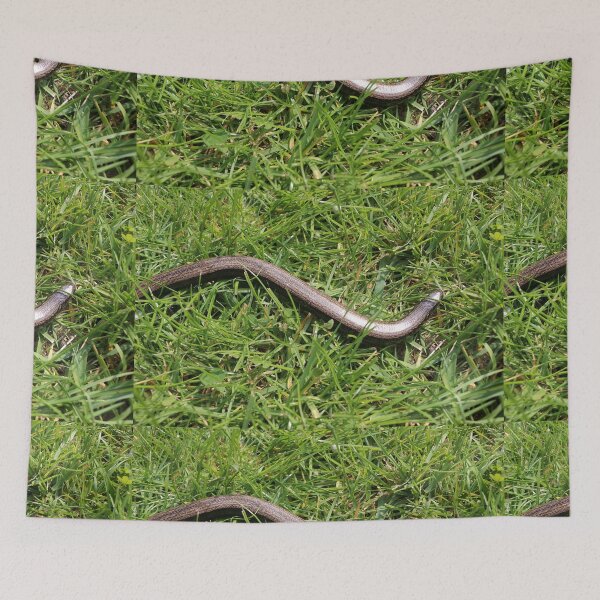 Item preview, Slow worm designed and sold by pinkal.