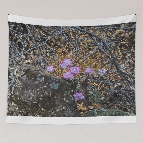 Item preview, A Group Of Native Wildflowers In The Dryandra Woodlands designed and sold by Jason Gilbert.
