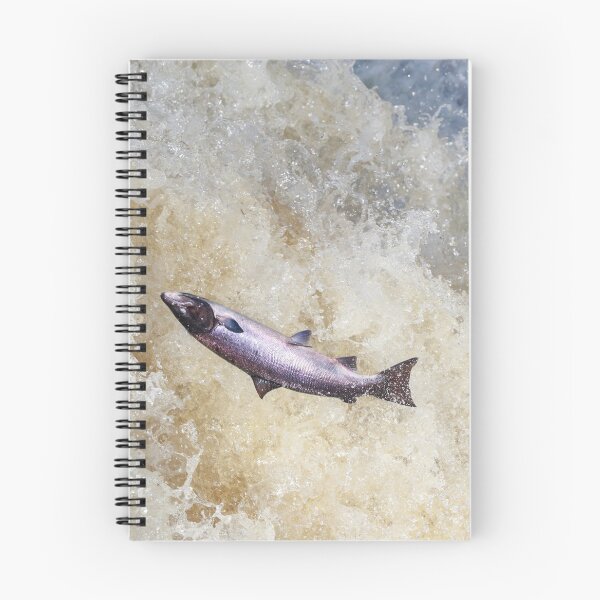 Item preview, Large pink salmon  designed and sold by chanonry.