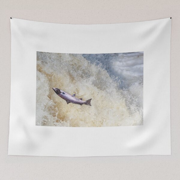 Item preview, Large pink salmon  designed and sold by chanonry.