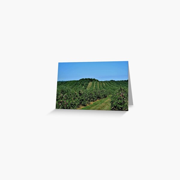 Item preview, Marker-Miller Orchards designed and sold by Eileen Brymer.