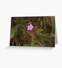 Teeny Weeny Greeting Card