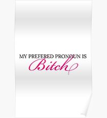 Preferred Pronoun is Bitch Poster