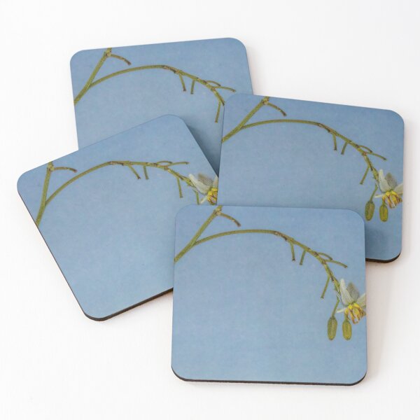 Item preview, A Dianella Flower    (Dianella tasmanica variegata) designed and sold by DPalmer.