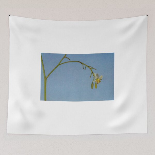 Item preview, A Dianella Flower    (Dianella tasmanica variegata) designed and sold by DPalmer.