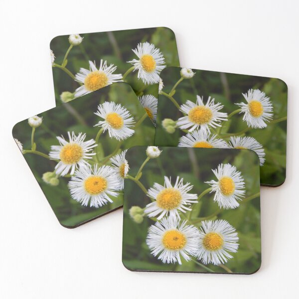 Item preview, Tiny Beauties in Bloom!  designed and sold by Dreamers-Escape.