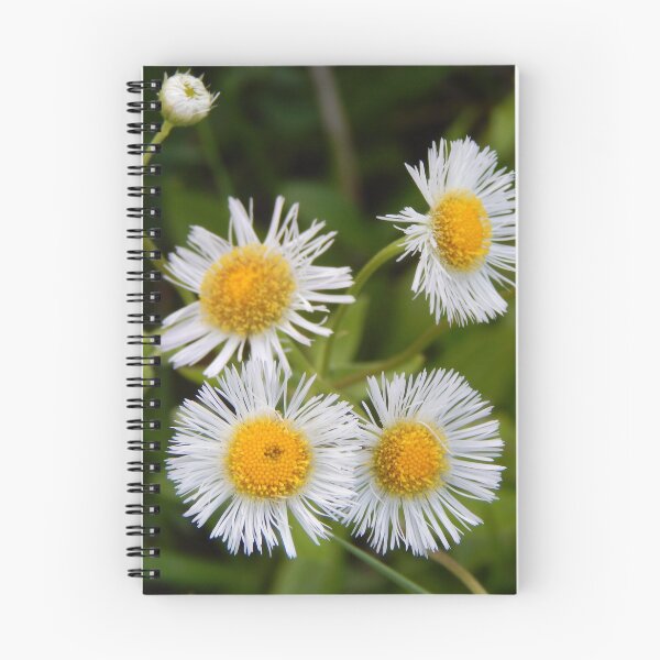 Item preview, Tiny Beauties in Bloom!  designed and sold by Dreamers-Escape.