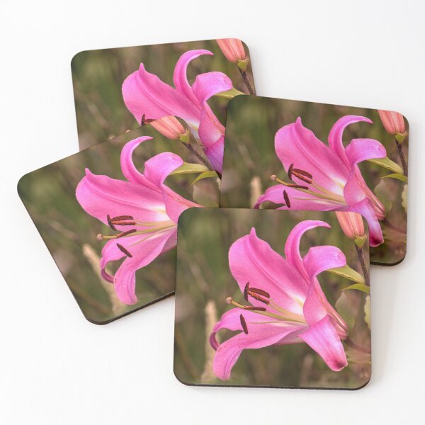 Item preview, hli hot pink lily designed and sold by pcfyi.