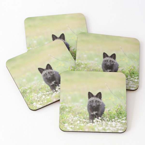 Item preview, Silver Fox Kit designed and sold by mlorenz.