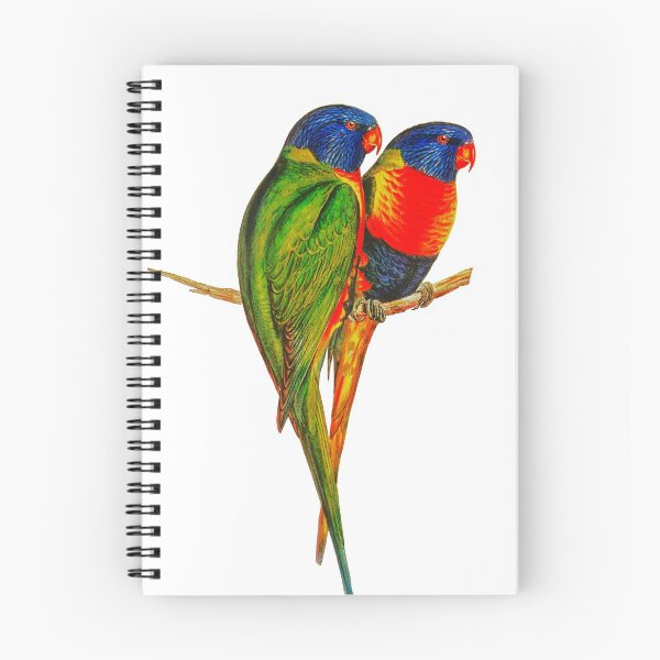 Item preview, Rainbow Lorikeet Bird Australian designed and sold by karwilberevivalcollection.