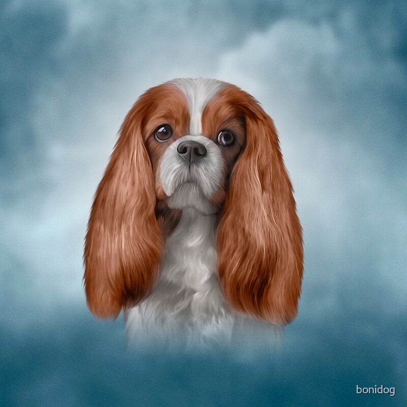 « Dessin Cavalier King Charles Spaniel » par bonidog Redbubble