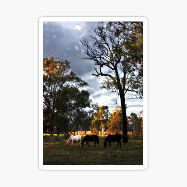 Item preview, Early Morning Feed designed and sold by Helen Martikainen.
