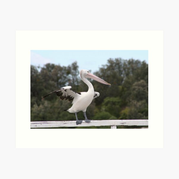 Item preview, pelican designed and sold by Sherie Howard.