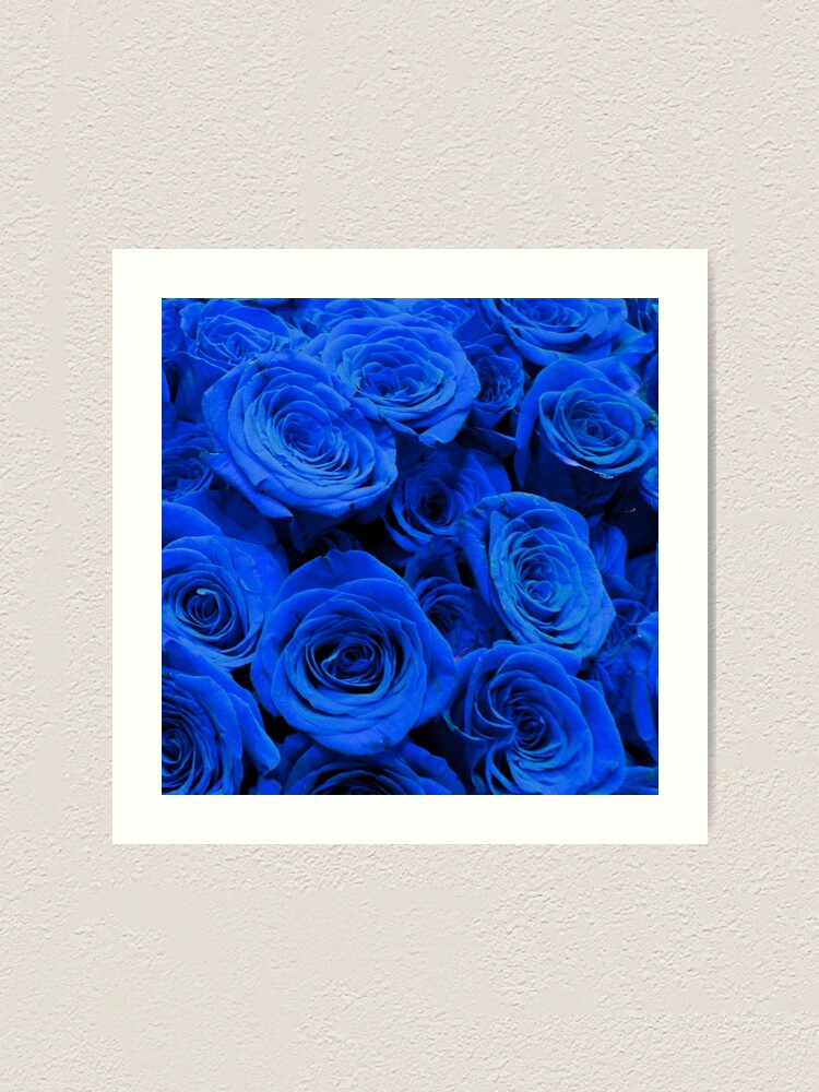 Lámina artística «Rosas azules, foto floral romántica de bígaro, ramo  floral azul real» de hollycooper | Redbubble