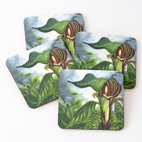 Item preview, Jack in the Pulpit - Pitcher Plant designed and sold by JanineRileyArt.