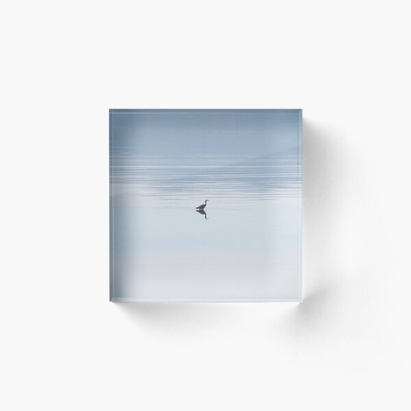 Heron in calm water Acrylic Block