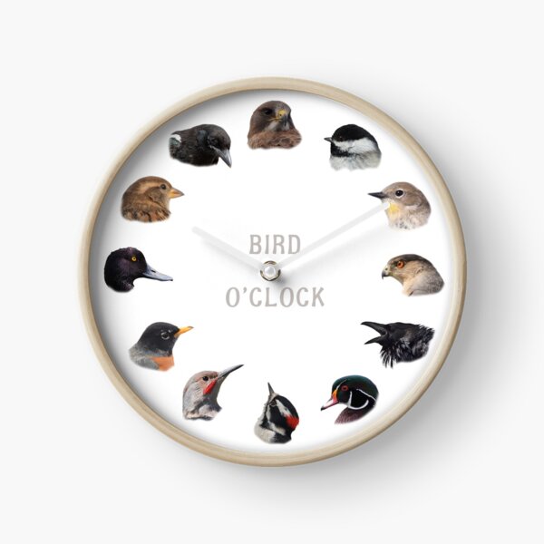“Bird O’clock” Clock