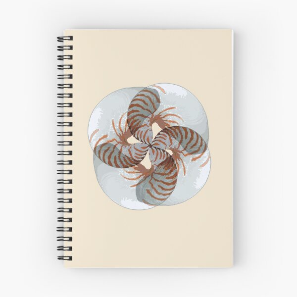 Item preview, Nautilus shell design by Chrissy Wild designed and sold by ChrissyWild.