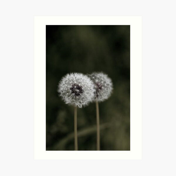 with YOU...... I just fade into the background Art Print