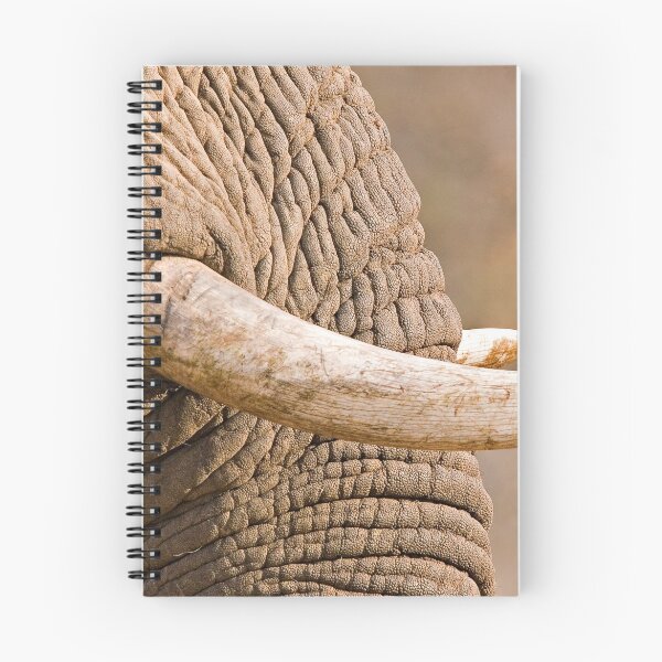Item preview, Ivory designed and sold by Michael Moss Photography.