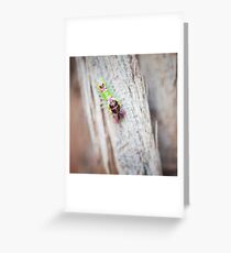 Creepy Crawly Greeting Card