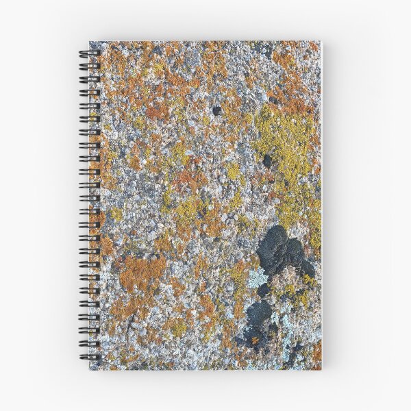 Item preview, Abstract in Nature designed and sold by NancyKHajjar.
