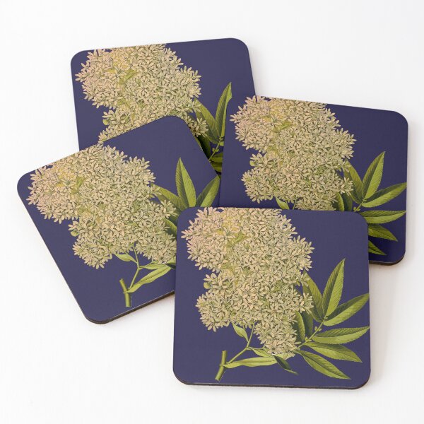 Item preview, Botantic Illustration designed and sold by Claire P.
