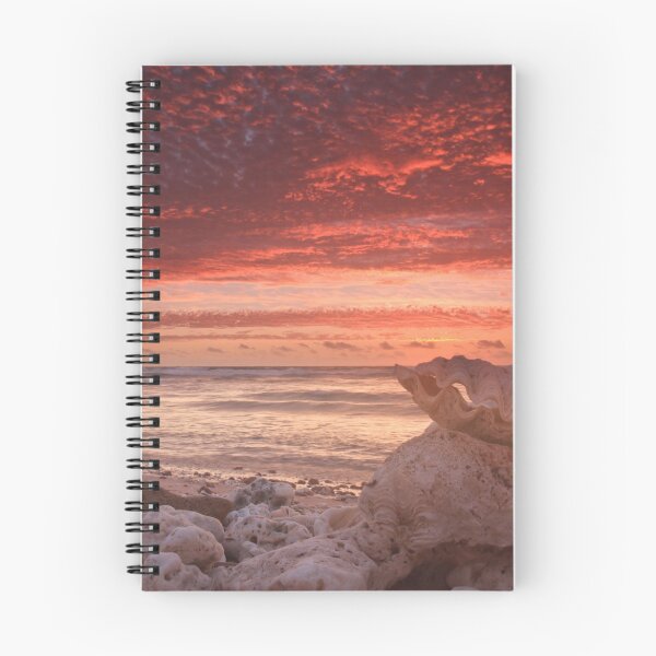 Item preview, Clam shell sunset, Quobba designed and sold by Marc Russo.