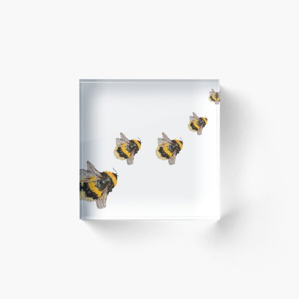 Bees Acrylic Block