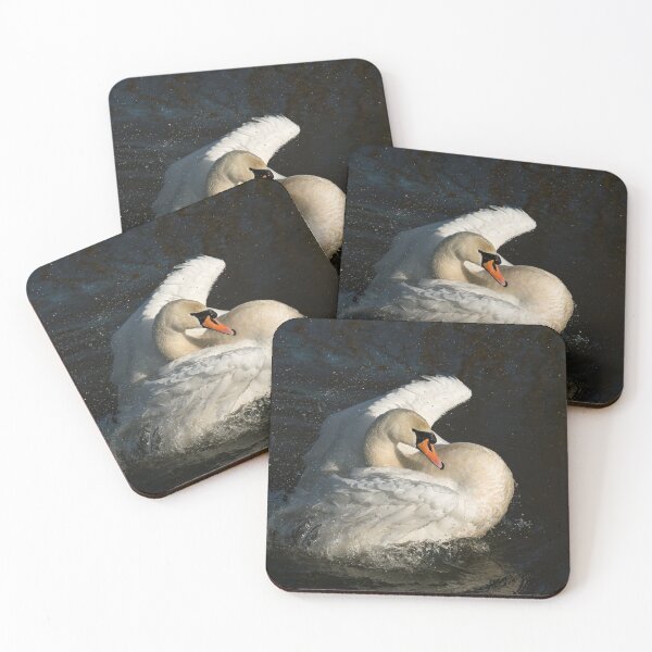 Item preview, Mute Swan Bathing designed and sold by Sue Robinson.