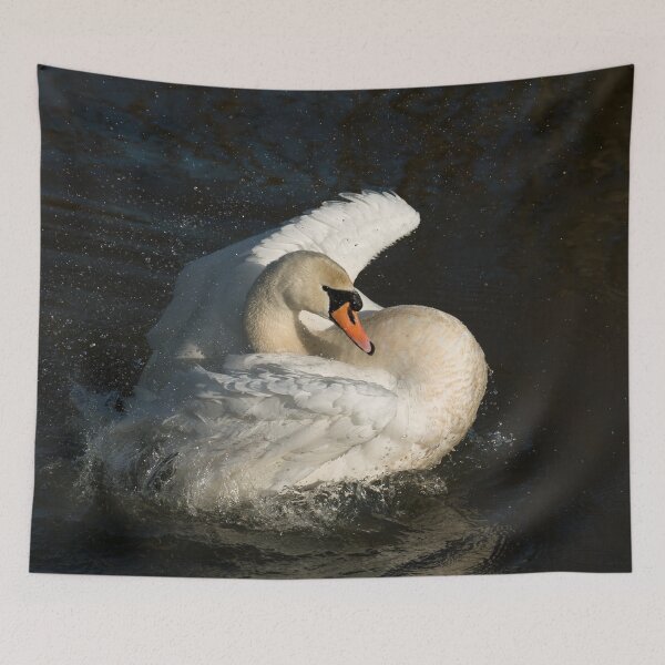 Item preview, Mute Swan Bathing designed and sold by Sue Robinson.