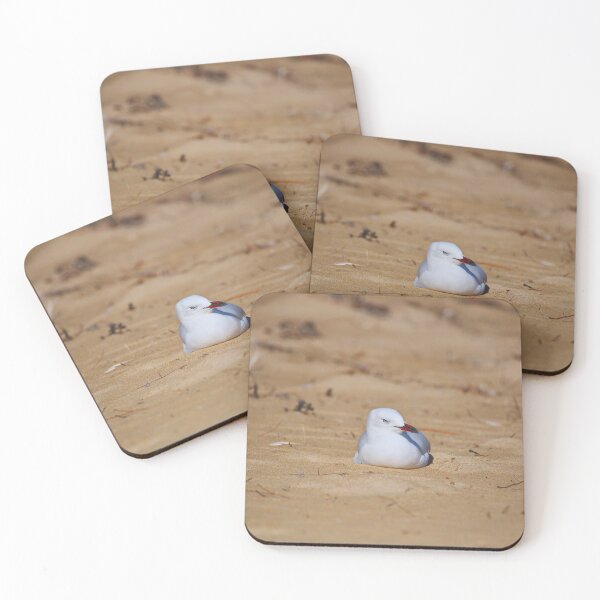 Item preview, A Seagull Resting In The Sand designed and sold by Jason Gilbert.