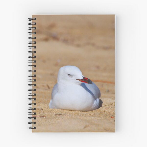 Item preview, A Seagull Resting In The Sand designed and sold by Jason Gilbert.