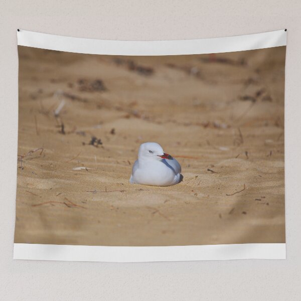 Item preview, A Seagull Resting In The Sand designed and sold by Jason Gilbert.