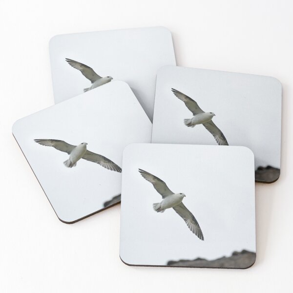 Item preview, Northern Fulmar and Cliffs designed and sold by Sue Robinson.