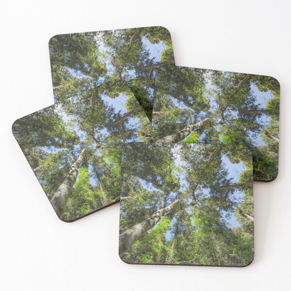 Item preview, A walk in the rainfroest  designed and sold by Brent Randall.