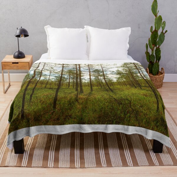 Item preview, Morning sunlight and shadows in the swamp forest designed and sold by yarvin13.