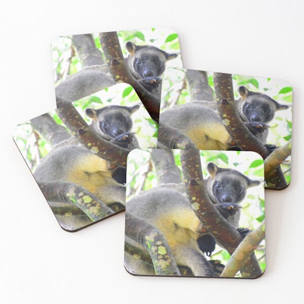 Item preview, Australian Tree Kangaroo designed and sold by fnq-photography.