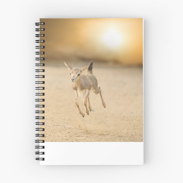 Item preview, Baby impala jumping for joy designed and sold by Ozkan Ozmen.