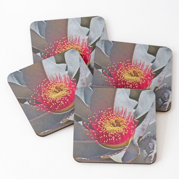 Item preview, Eucalyptus Macrocarpa aka Mottlecah Bright Red Flower designed and sold by Jason Gilbert.