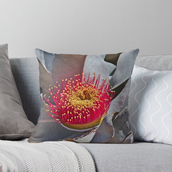 Item preview, Eucalyptus Macrocarpa aka Mottlecah Bright Red Flower designed and sold by Jason Gilbert.