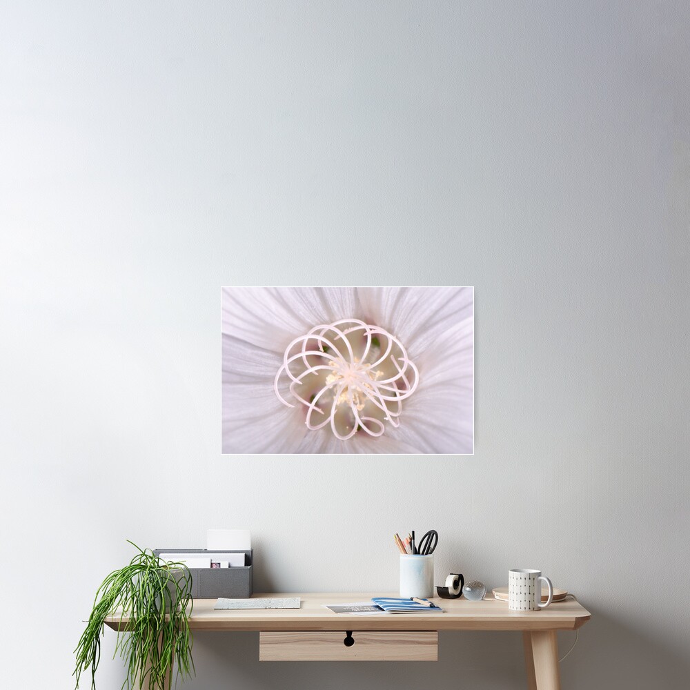 Spiral Poster