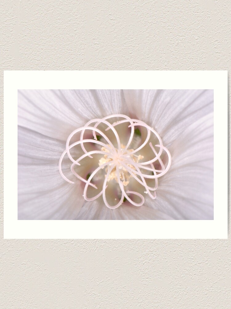 Alternate view of Spiral Art Print