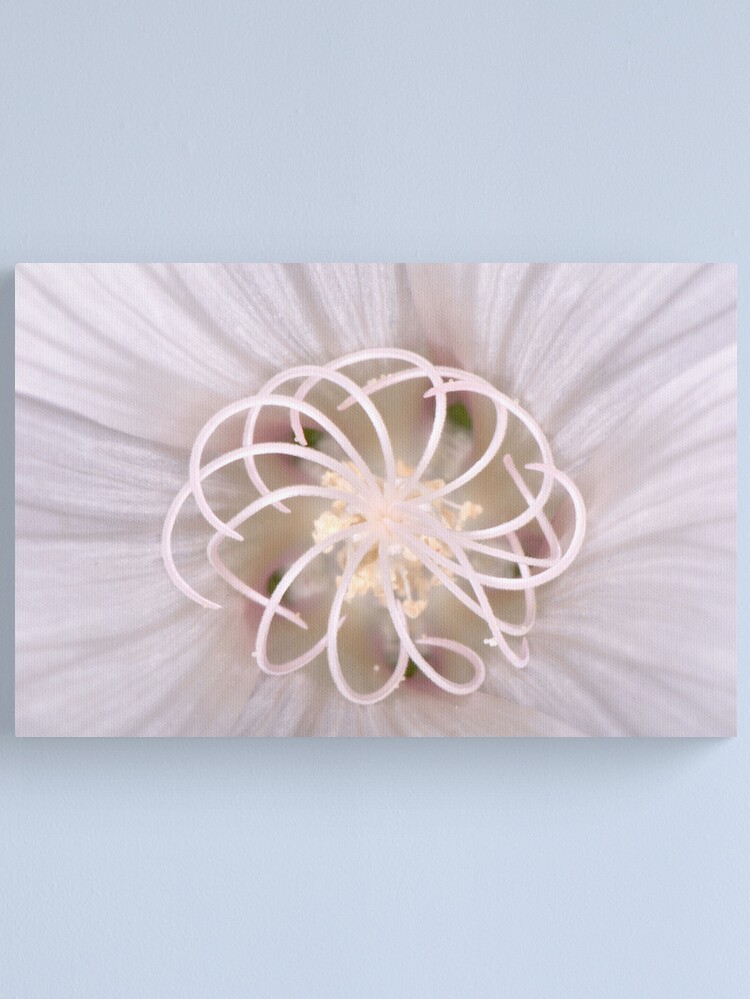 Alternate view of Spiral Canvas Print