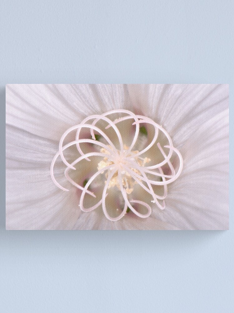 Alternate view of Spiral Canvas Print