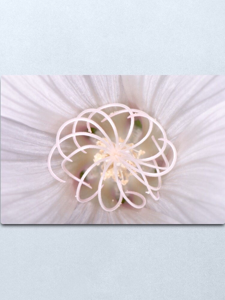 Alternate view of Spiral Metal Print