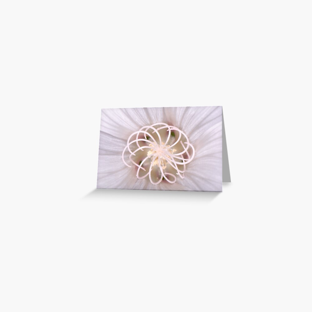 Item preview, Greeting Card designed and sold by pauleden.
