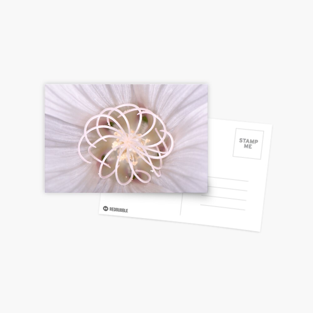 Item preview, Postcard designed and sold by pauleden.