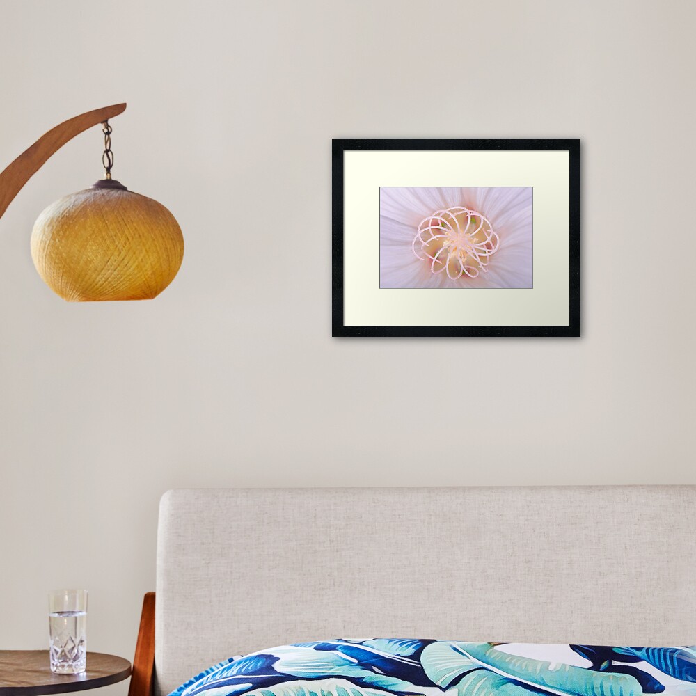 Spiral #2 Framed Art Print