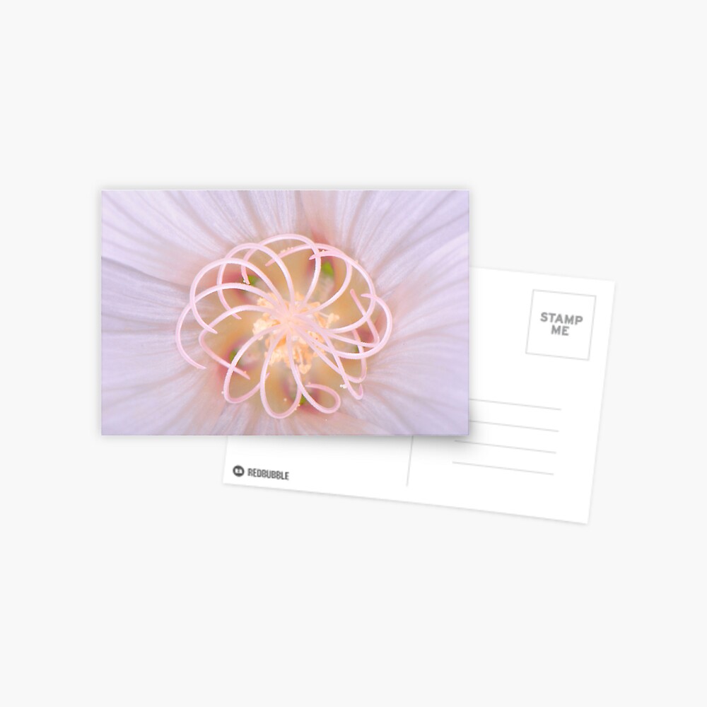 Item preview, Postcard designed and sold by pauleden.